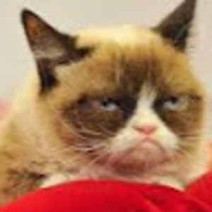 Meet your Posher, Aila